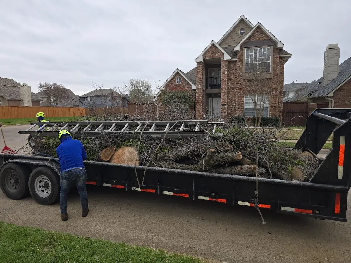 Expert Tree Fertilization with proper safety equipment in Lindon
